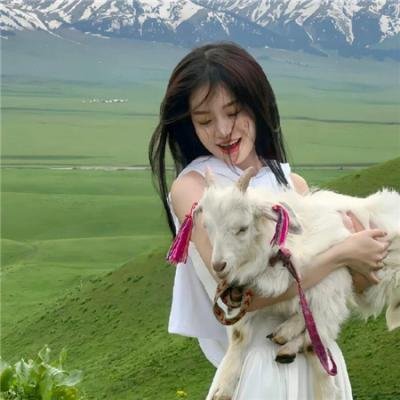 2025重阳奇妙游