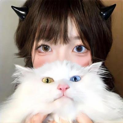 双妻艳史